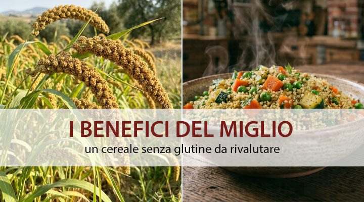 benefici del miglio