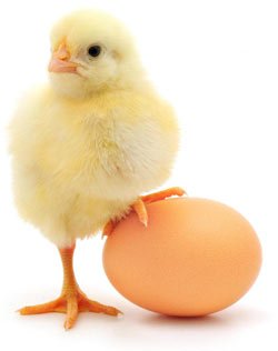come abbassare il colesterolo con le uova