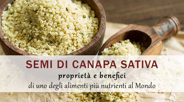 Semi di canapa sativa: proprietà e benefici di uno degli alimenti più  nutrienti al Mondo