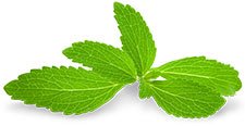 foglie di stevia dolcificante