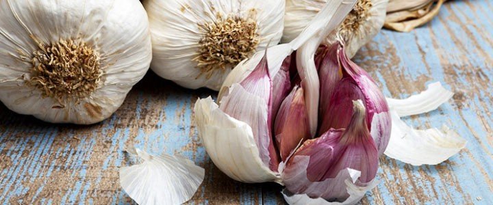 benefici e proprietà dell'aglio