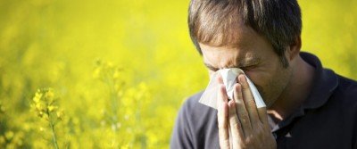 migliorati i sintomi dell'allergia alle graminacee