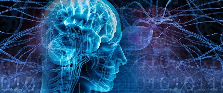 epilessia alimentazione