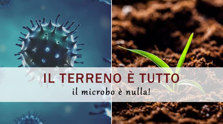 il terreno è tutto il microbo è nulla